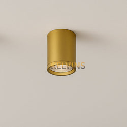 Spot fixe GDS420